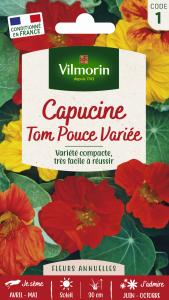 Capucine Tom Pouce en Mélange